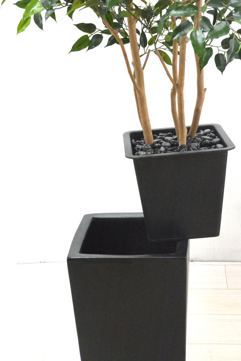 ミニベンジャミン(1点物)