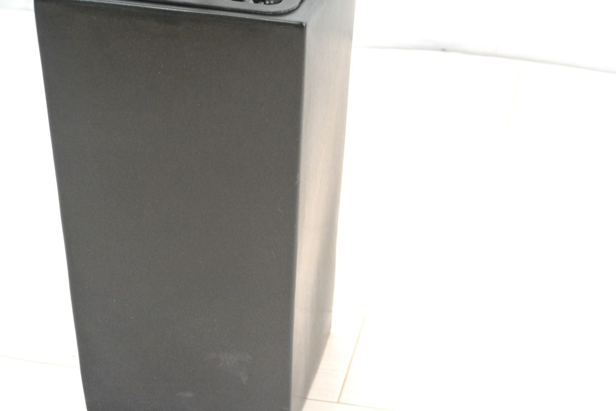 ミニベンジャミン(1点物)