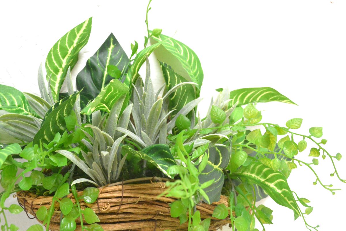 グリーンアレンジ壁掛け(1点物)