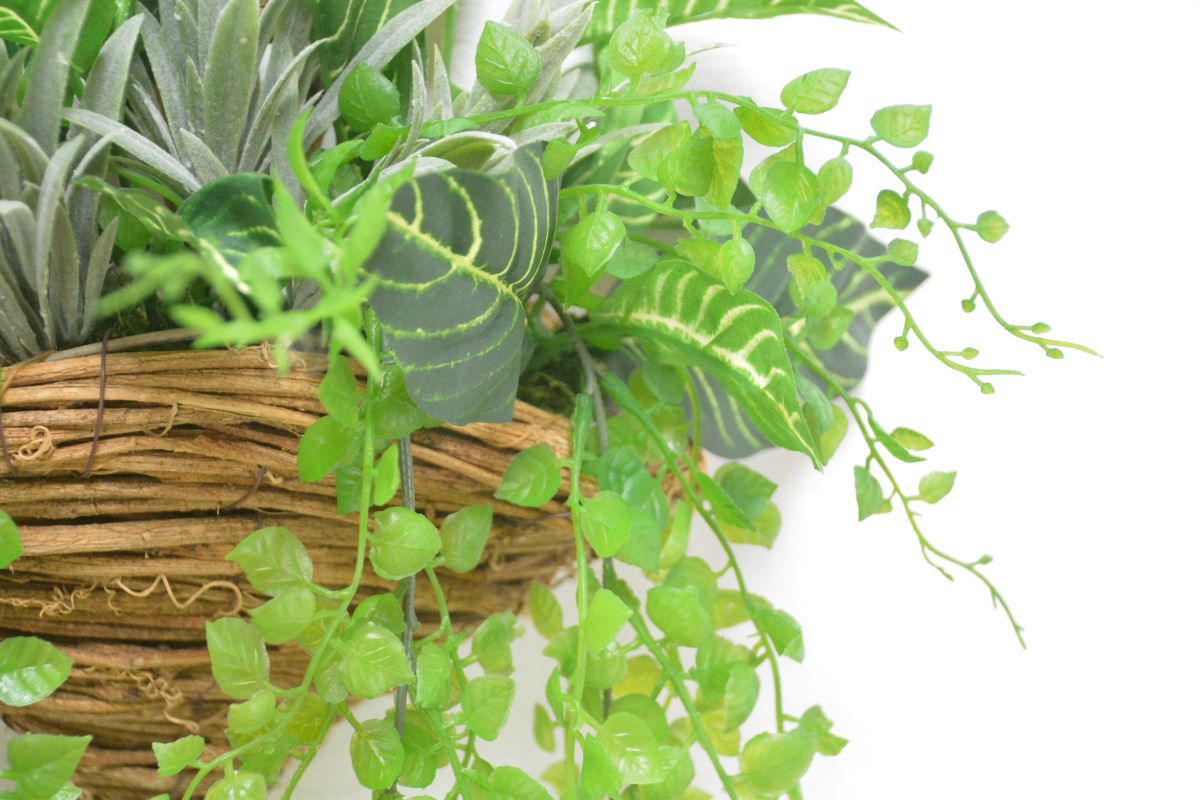 グリーンアレンジ壁掛け(1点物)