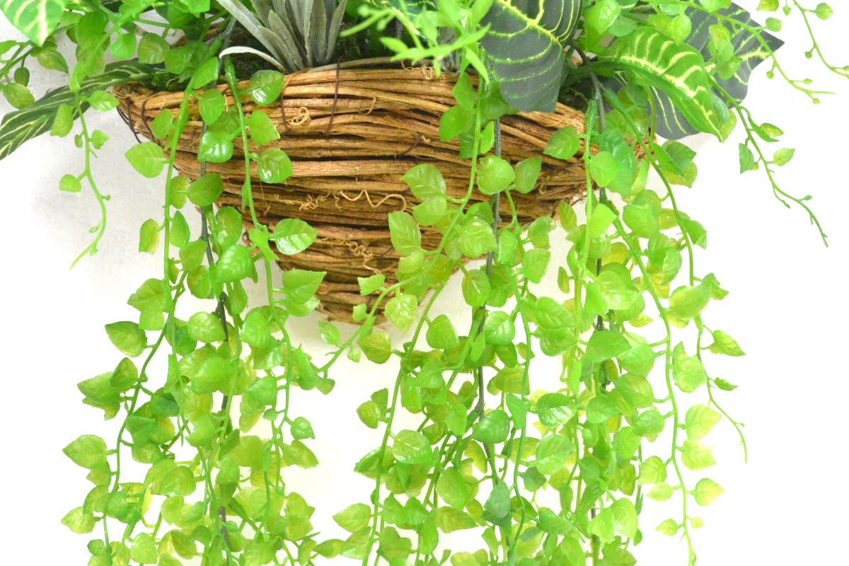 グリーンアレンジ壁掛け(1点物)