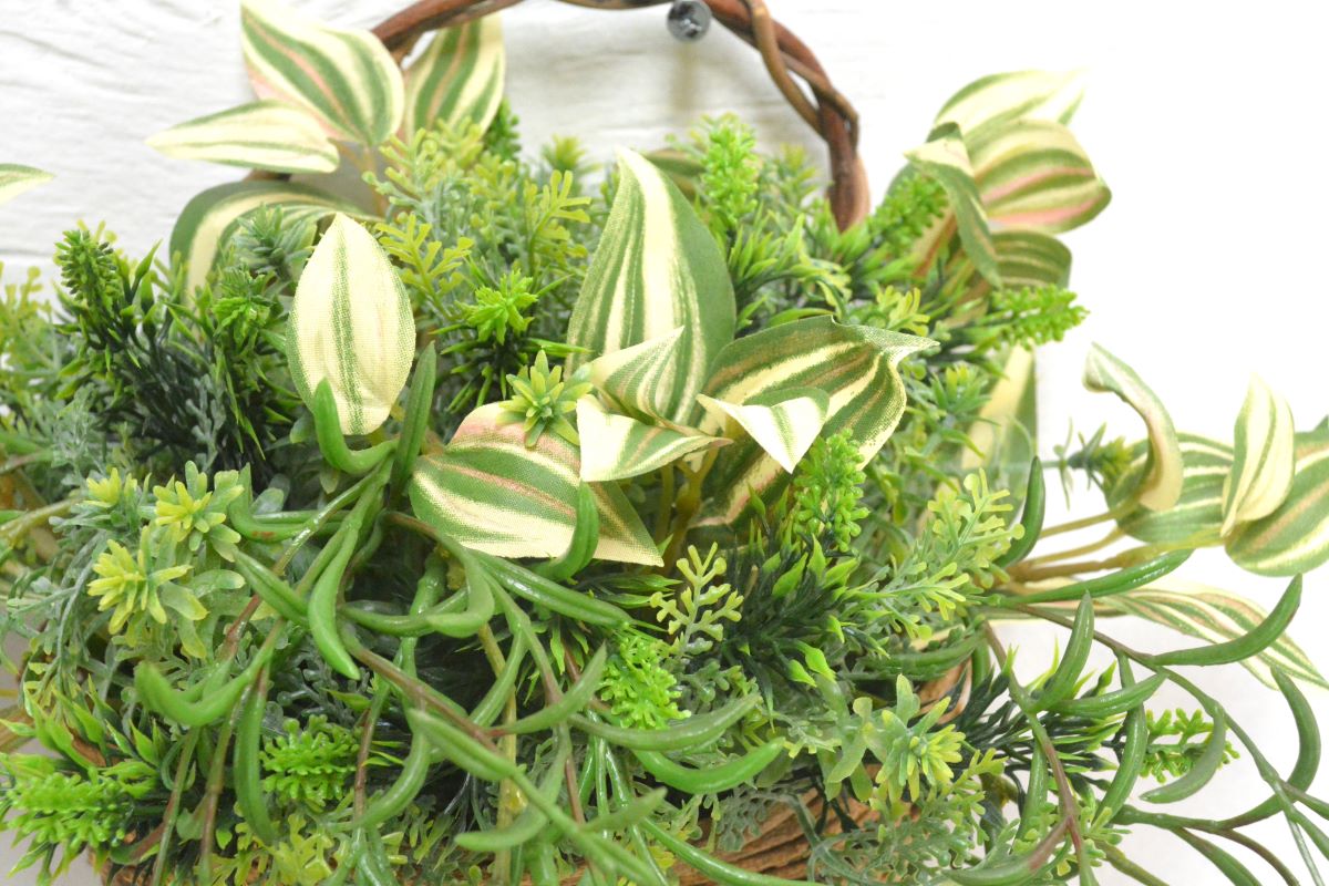 グリーンアレンジ壁掛け(1点物)