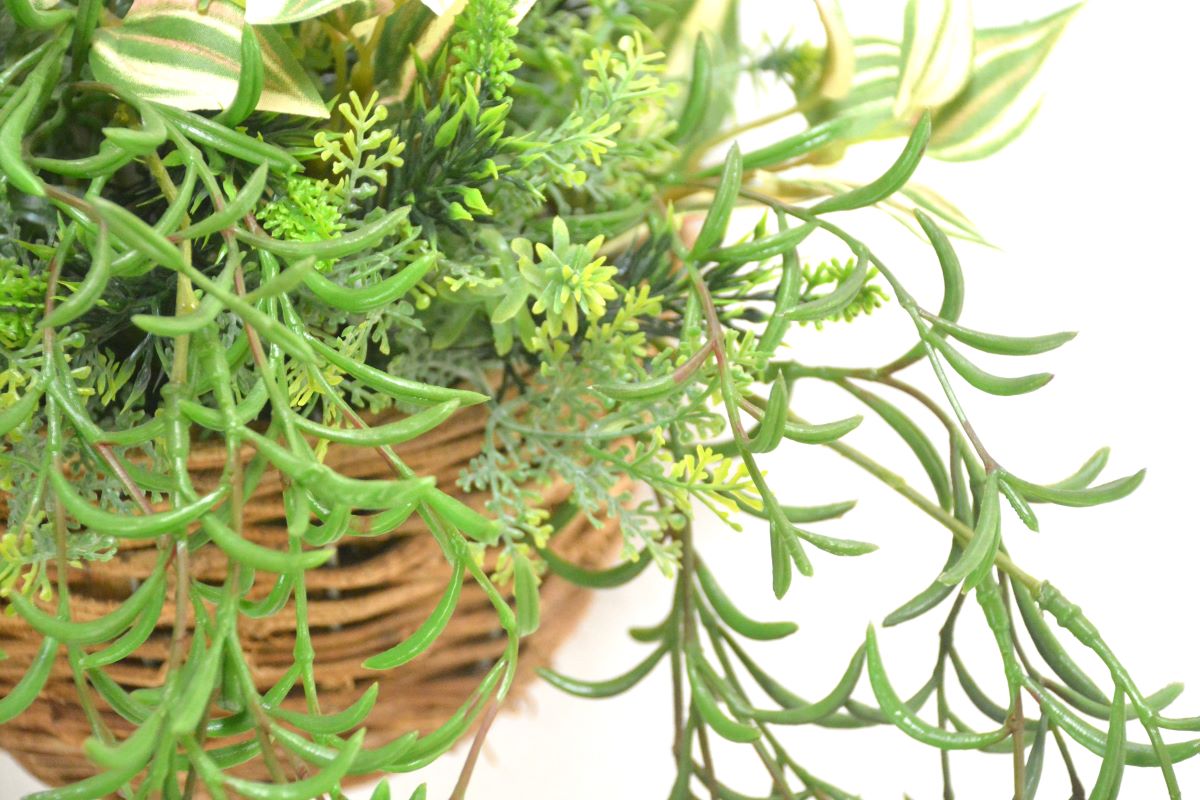 グリーンアレンジ壁掛け(1点物)