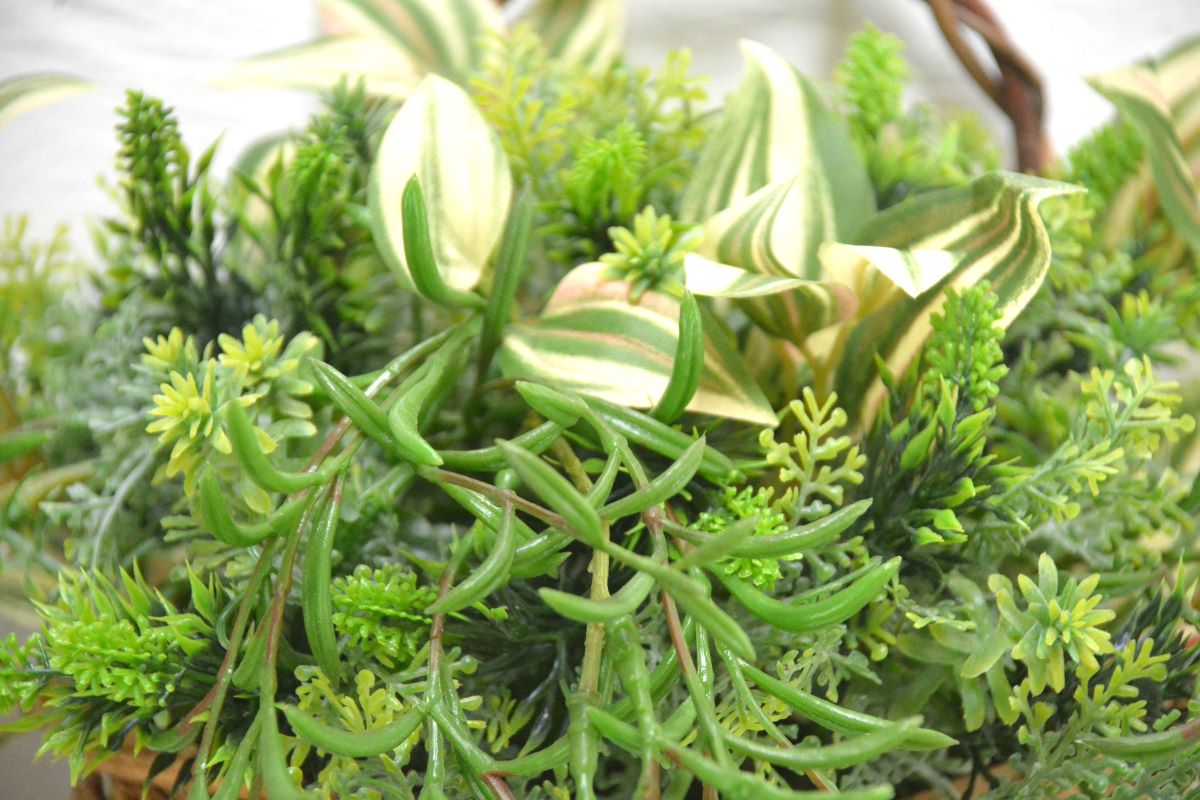 グリーンアレンジ壁掛け(1点物)