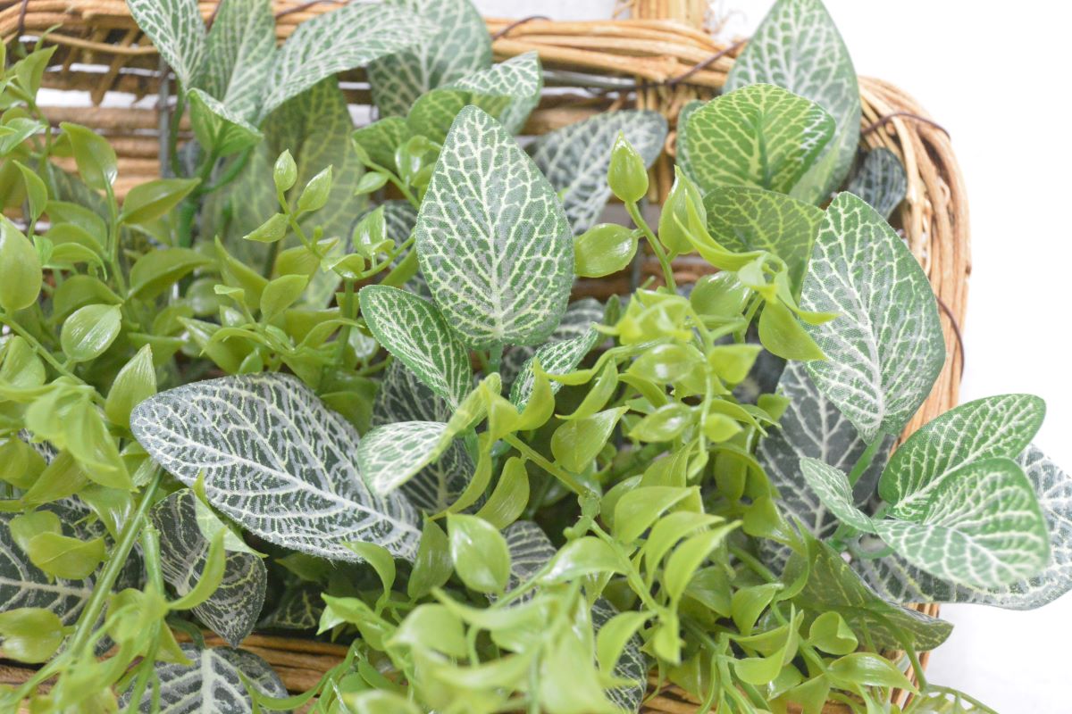 グリーンアレンジ置・壁掛け兼用(1点物)