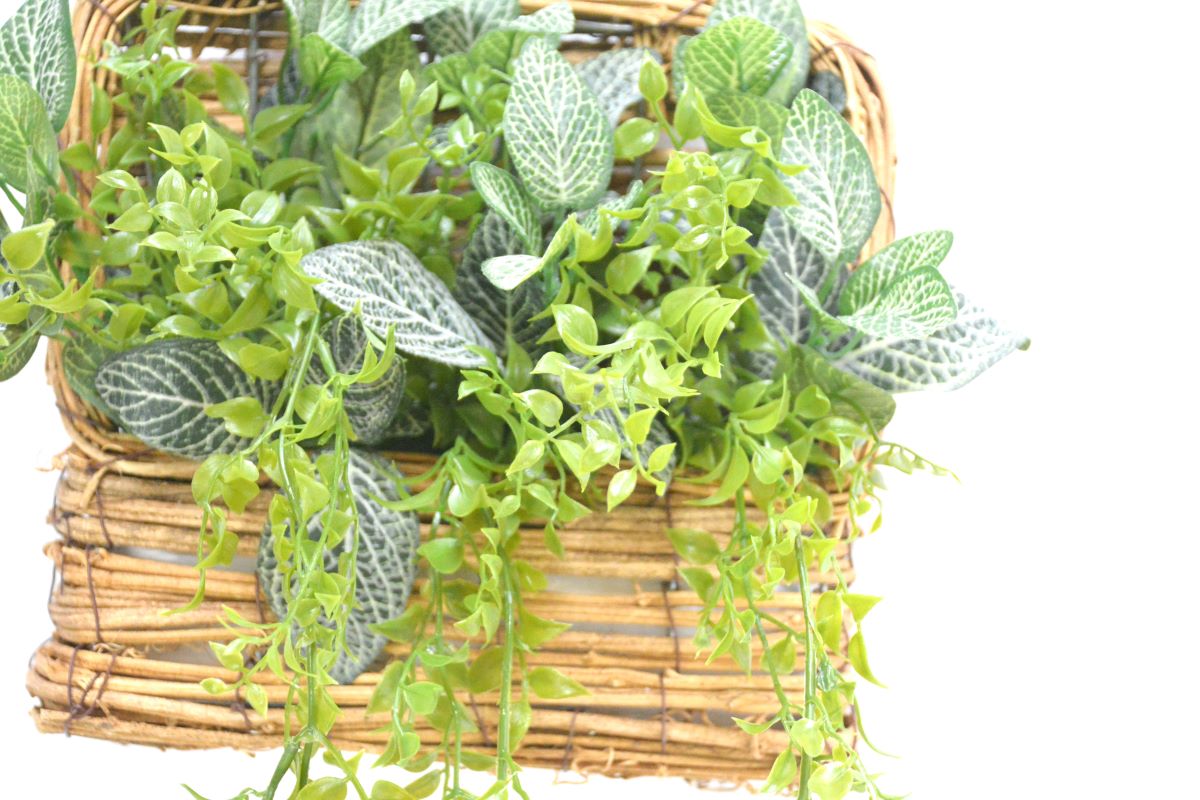 グリーンアレンジ置・壁掛け兼用(1点物)