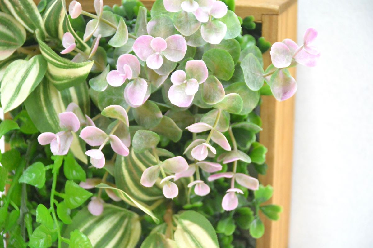 グリーンアレンジ壁掛け(1点物)