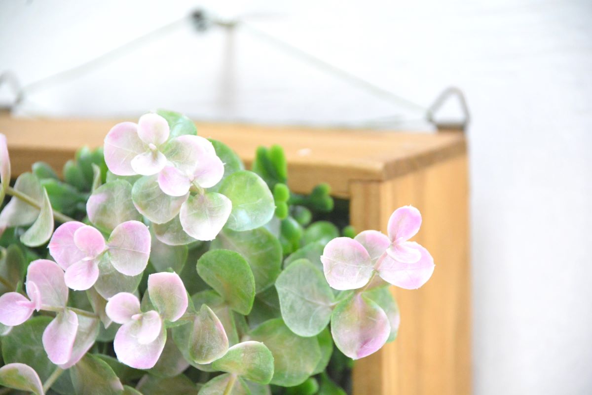 グリーンアレンジ壁掛け(1点物)