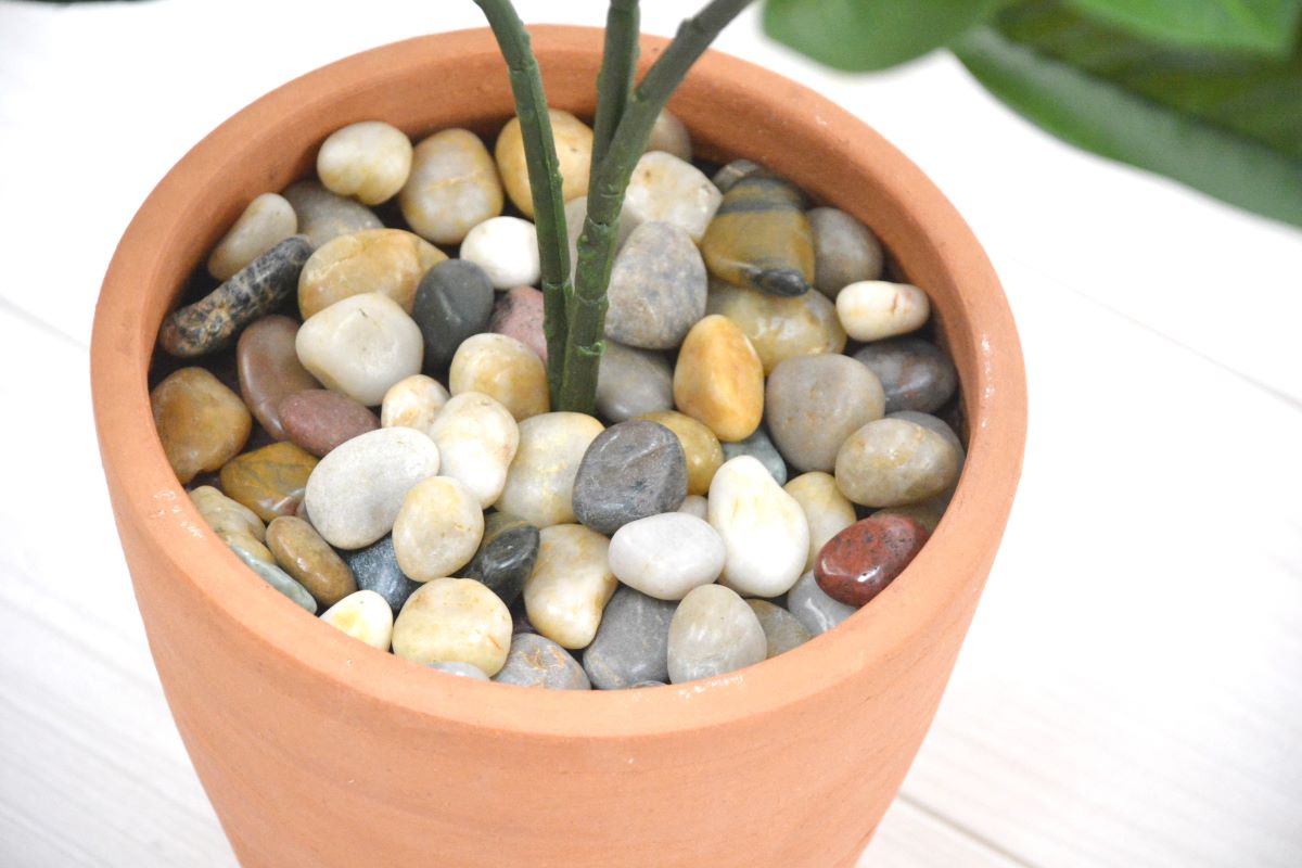 マグノリア(1点物)