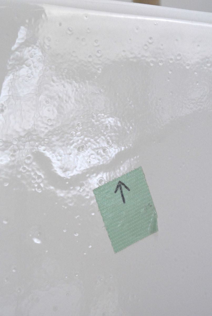 ベンジャミン(1点物)