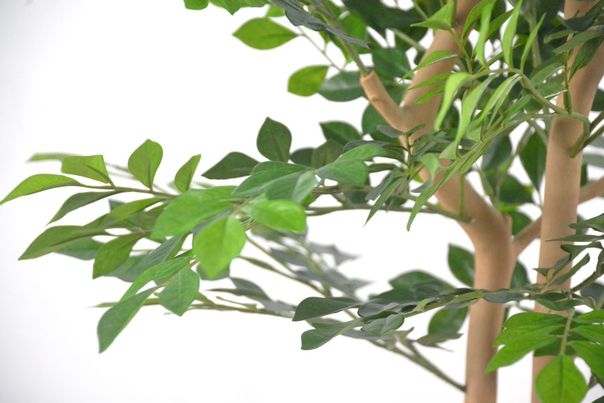 トネリコ(1点物)