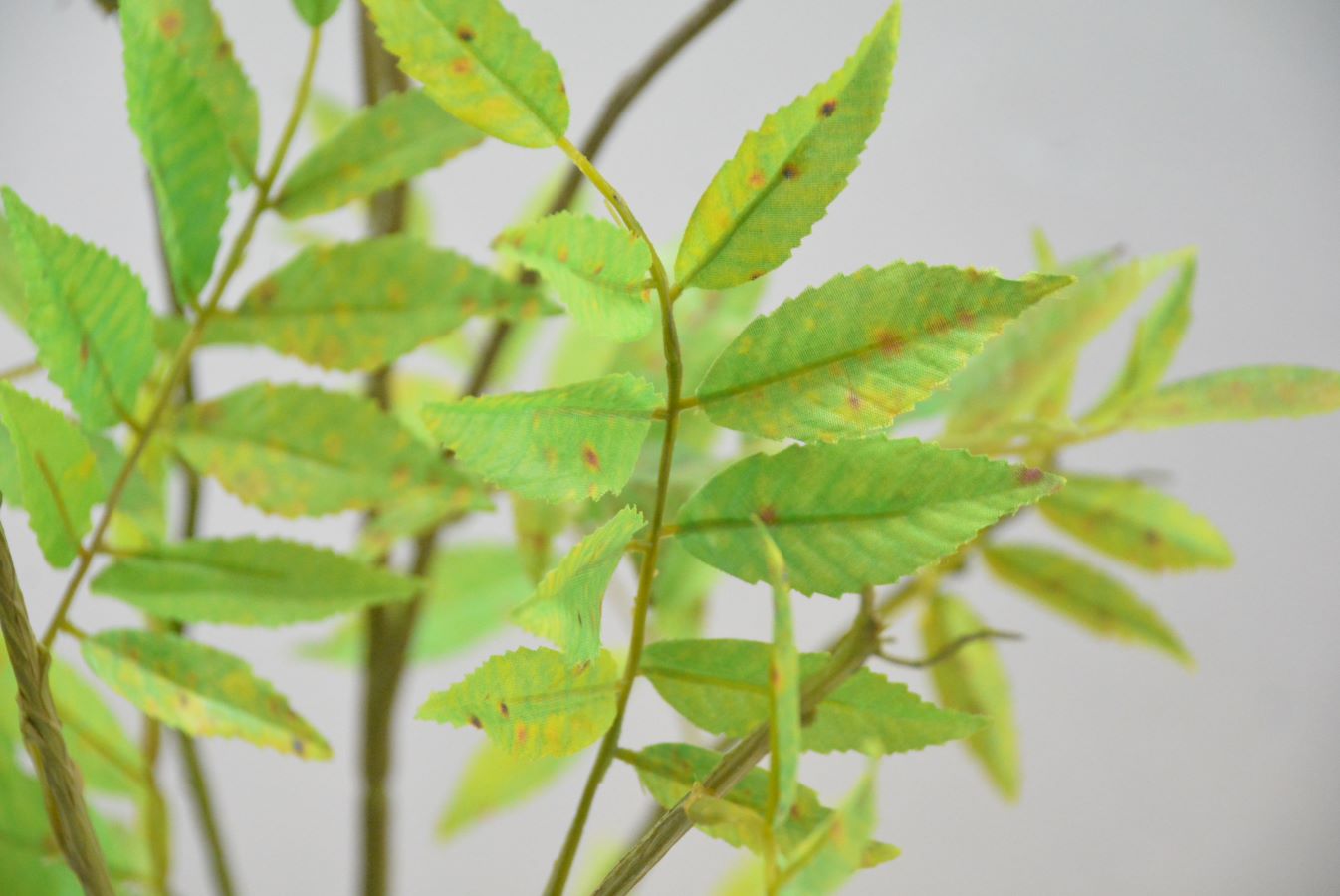 ナナカマド(1点物)