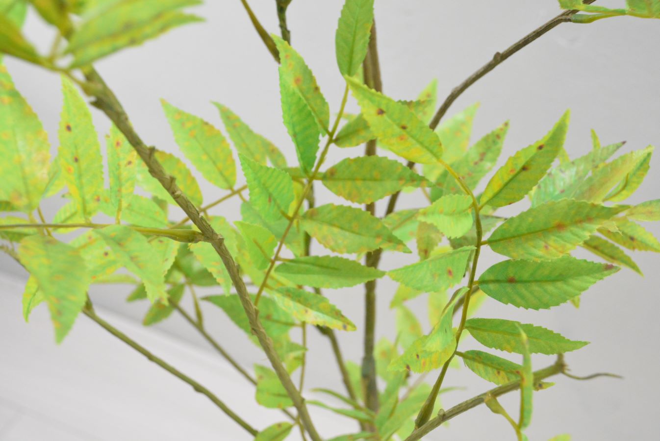 ナナカマド(1点物)