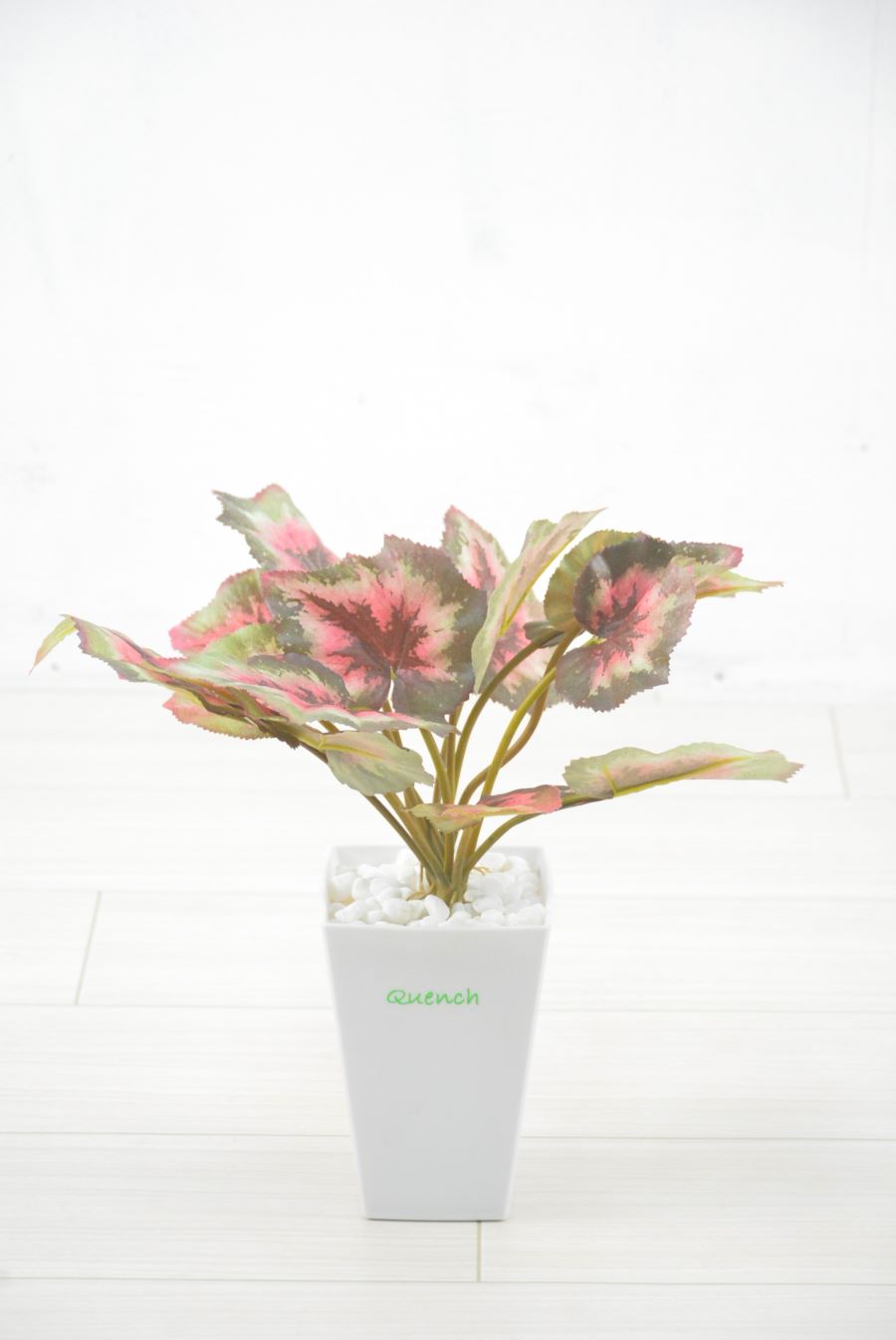 ゼラニウム(1点物)