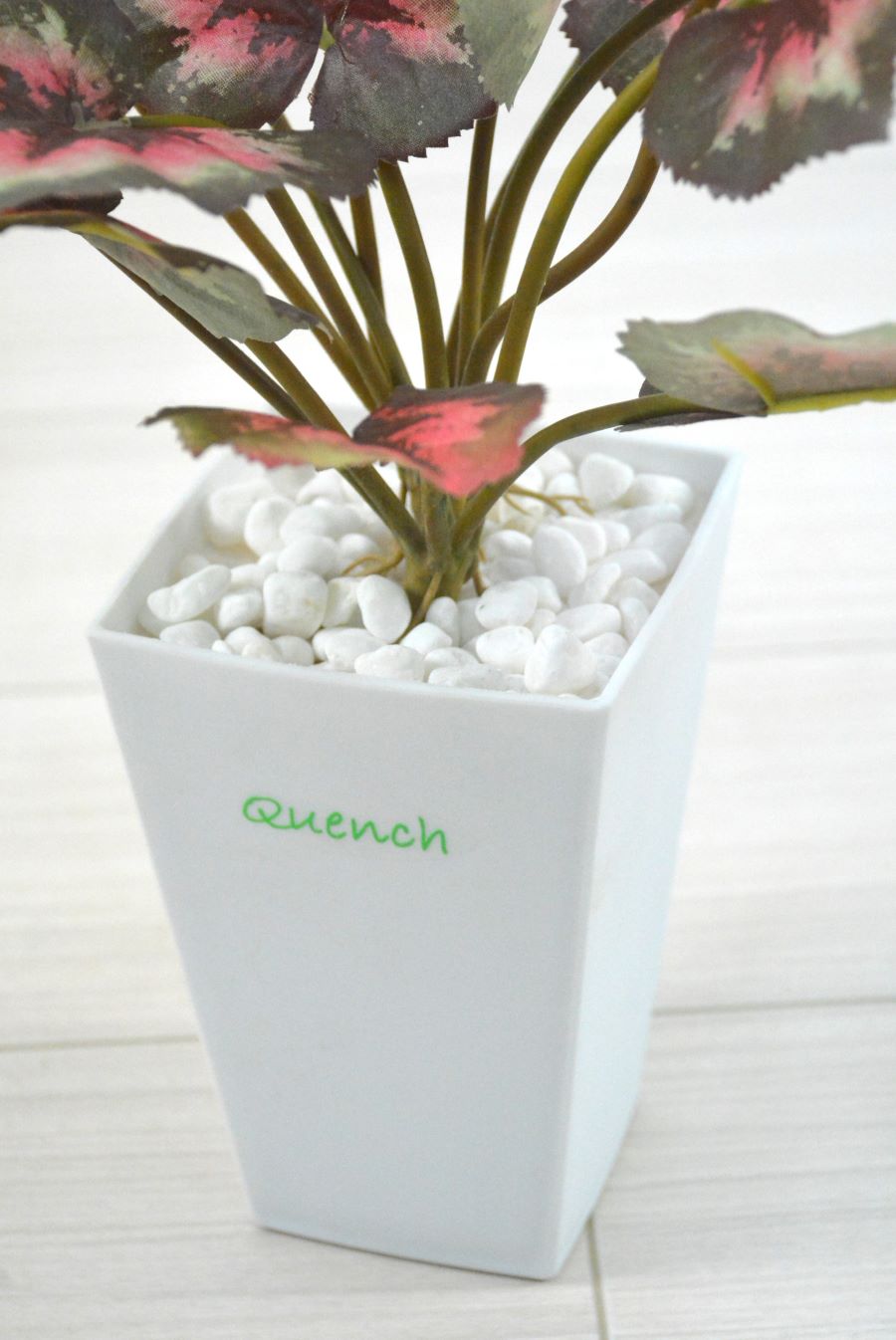 ゼラニウム(1点物)