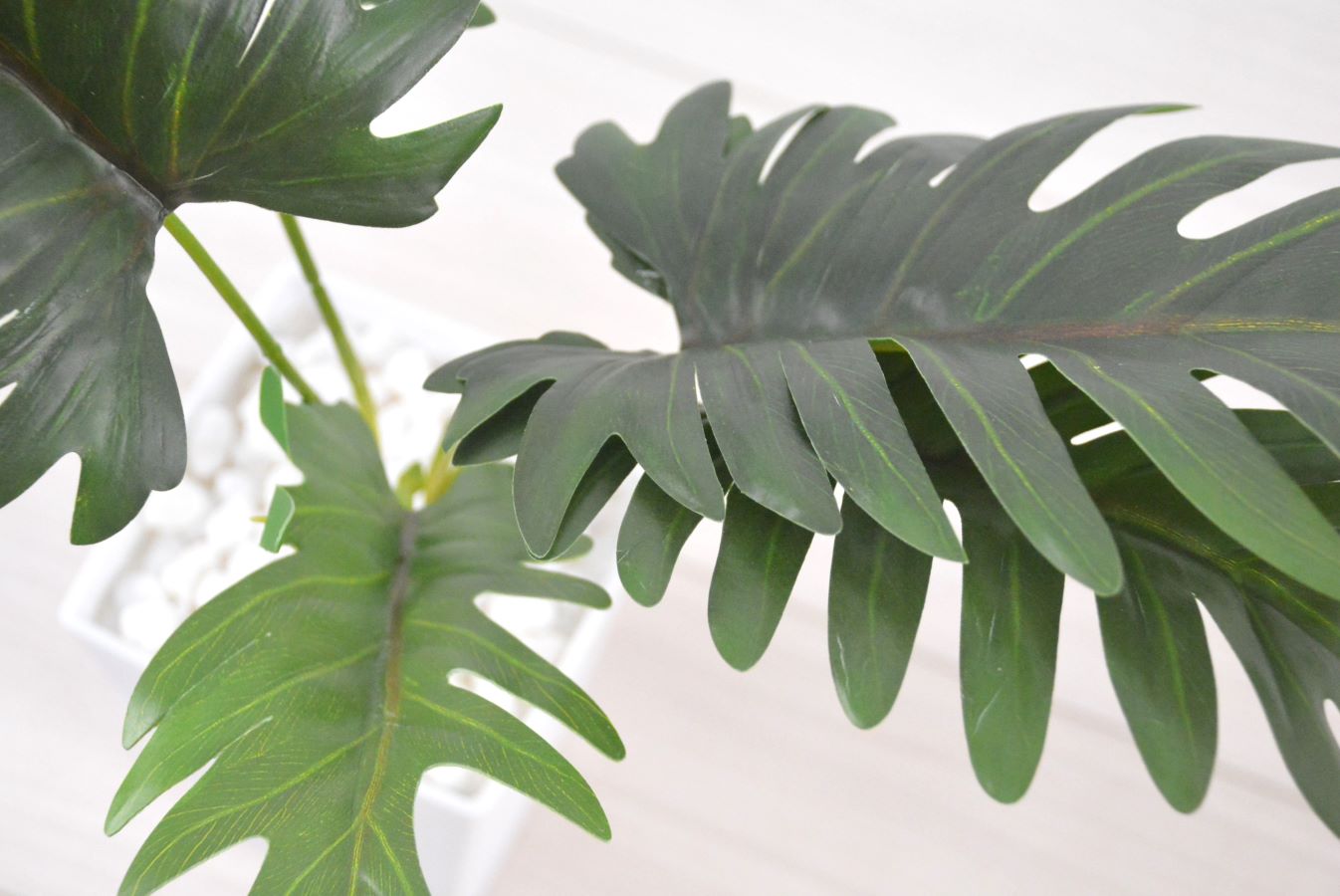 クッカパラ(1点物)