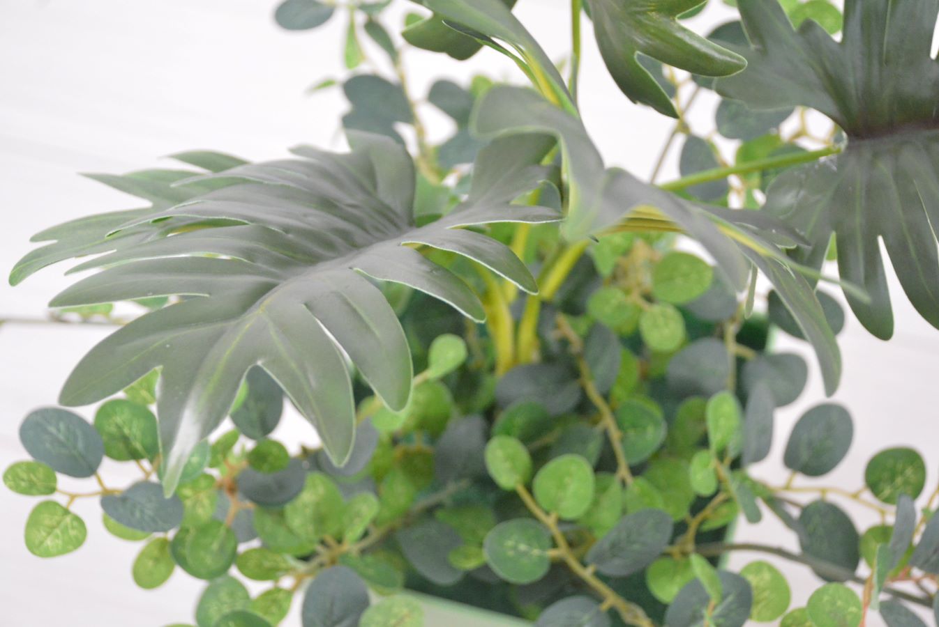 クッカパラ寄せ植え(1点物)