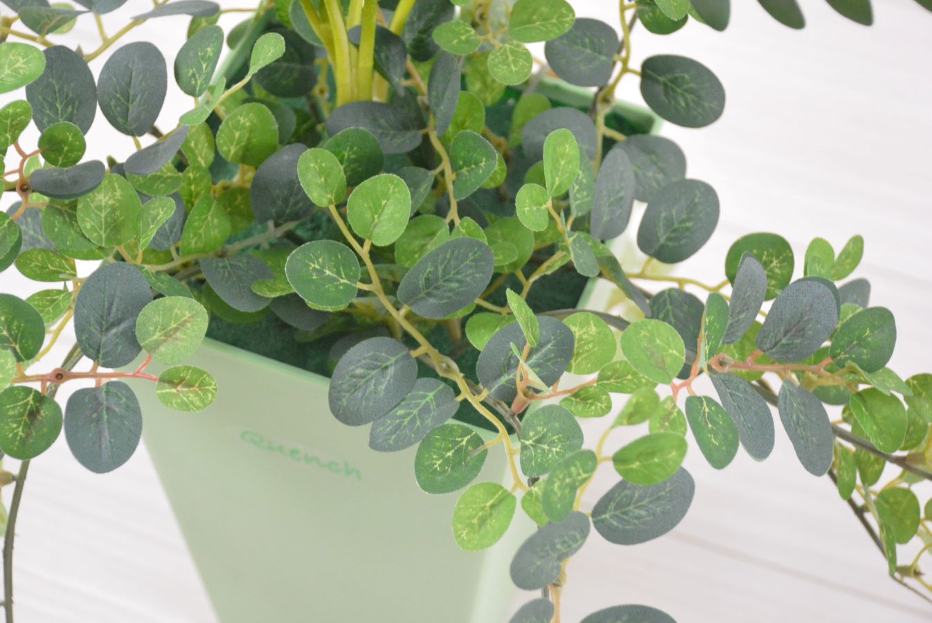 クッカパラ寄せ植え(1点物)