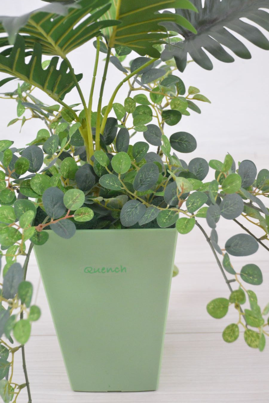 クッカパラ寄せ植え(1点物)