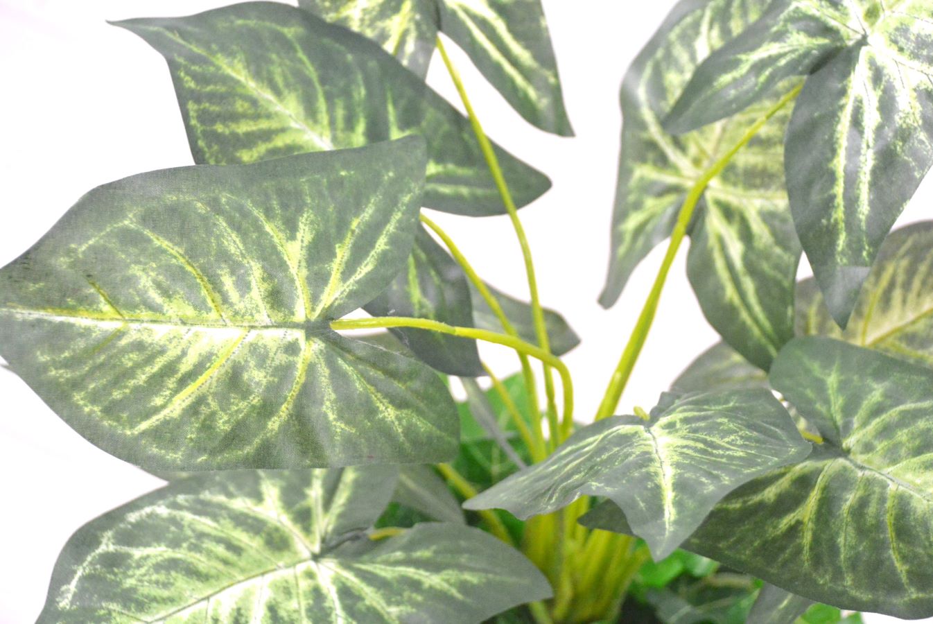 カラージューム(1点物)