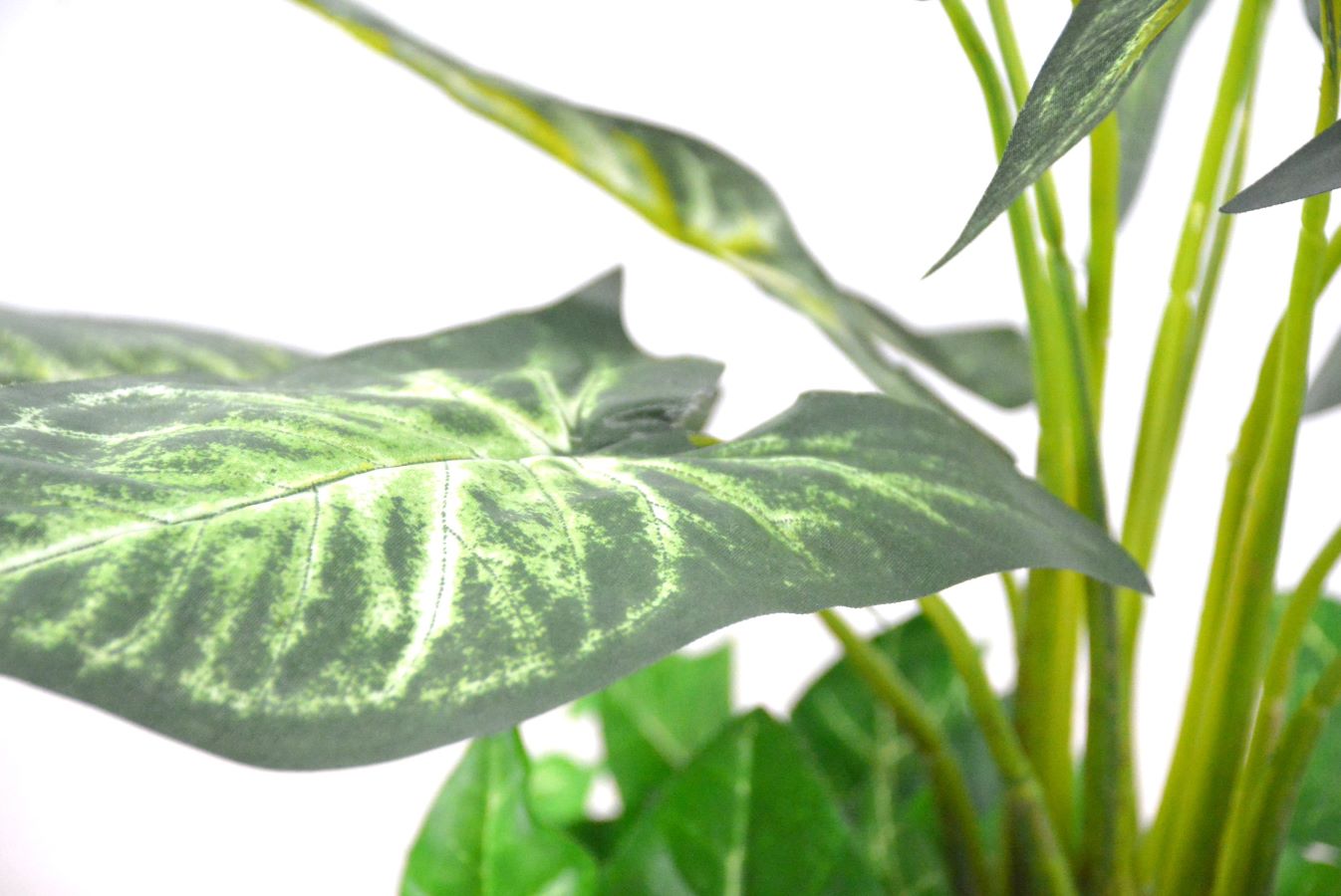 カラージューム(1点物)