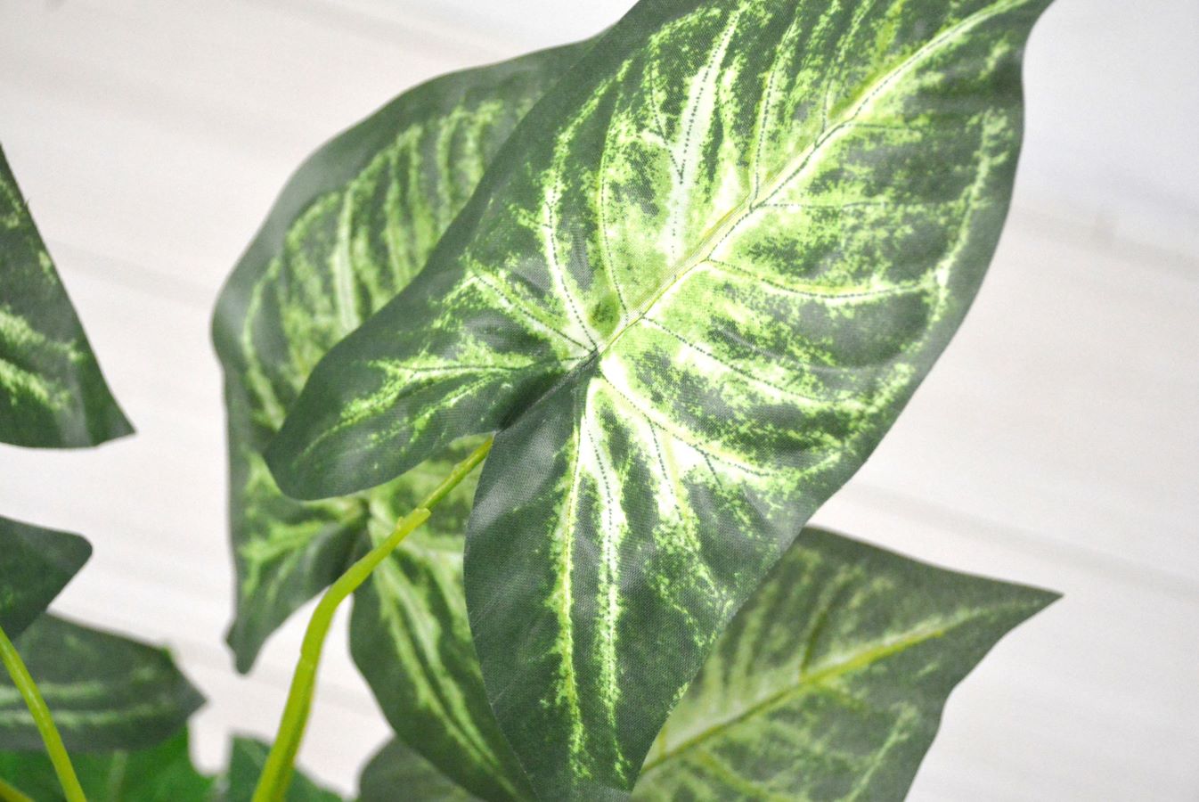 カラージューム(1点物)