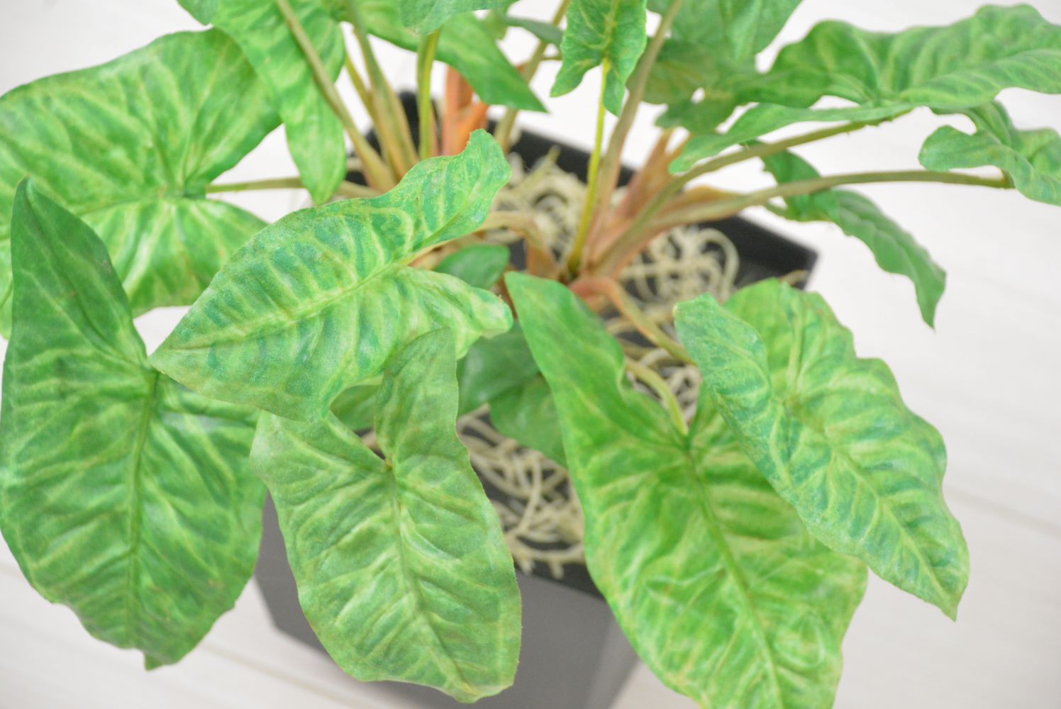 グリーン(1点物)