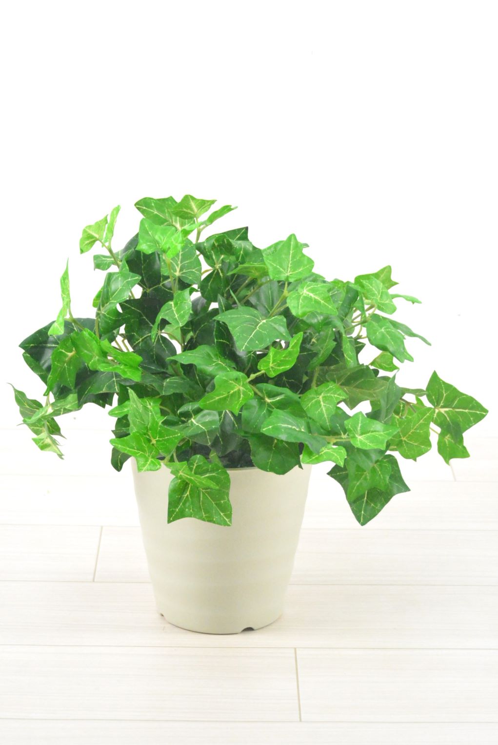 アイビー(1点物)