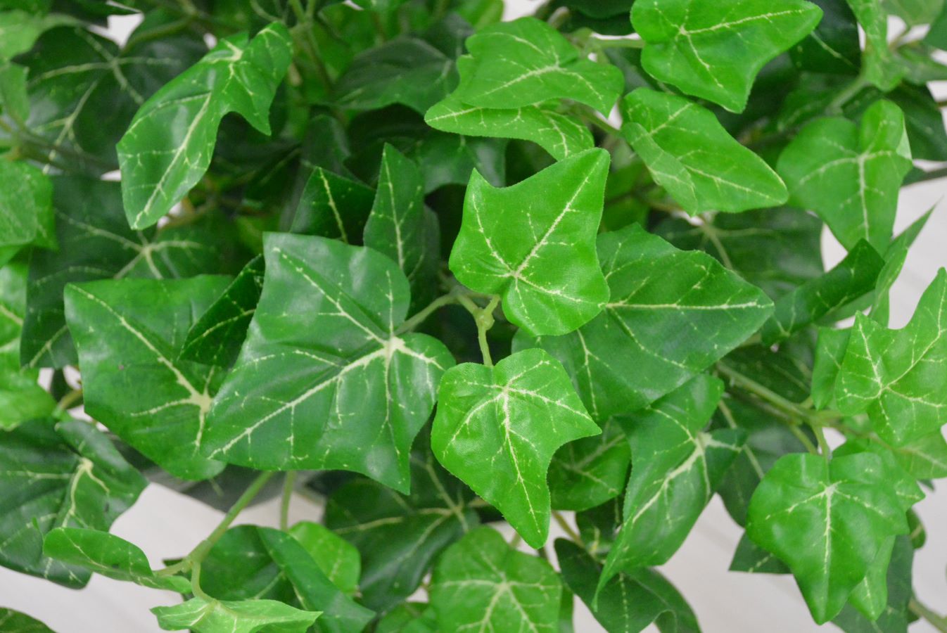 アイビー(1点物)