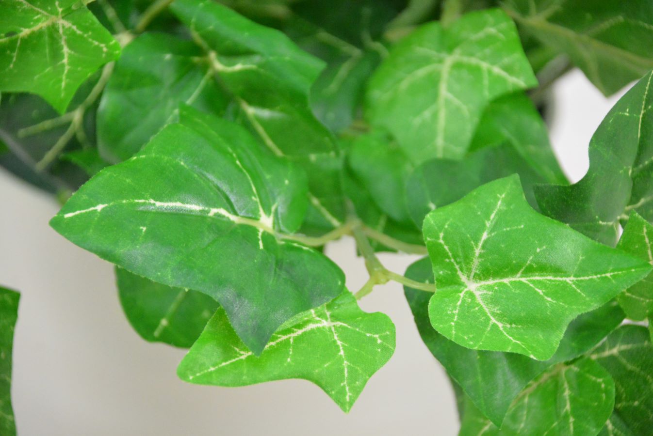 アイビー(1点物)