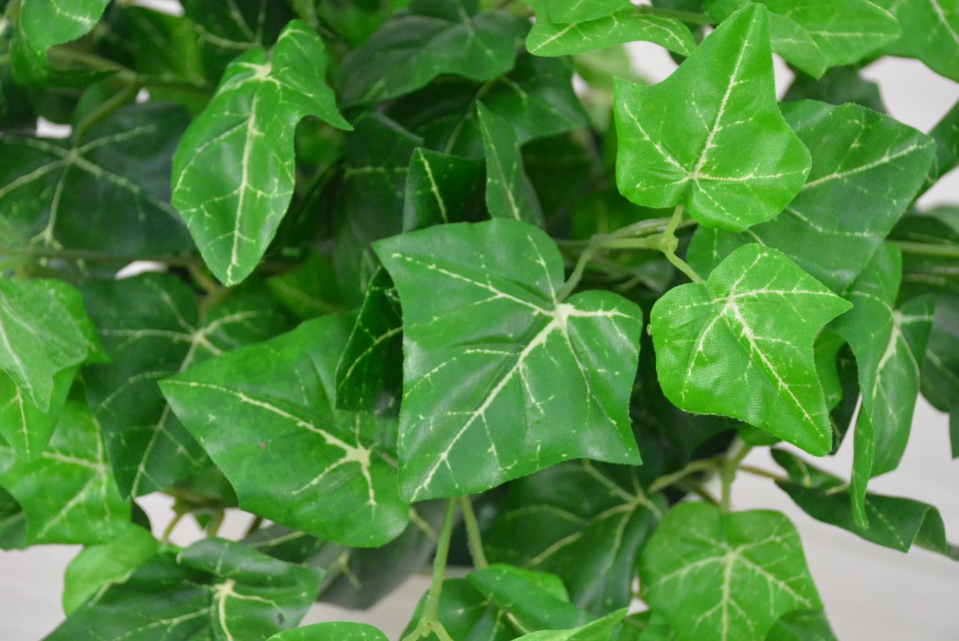 アイビー(1点物)