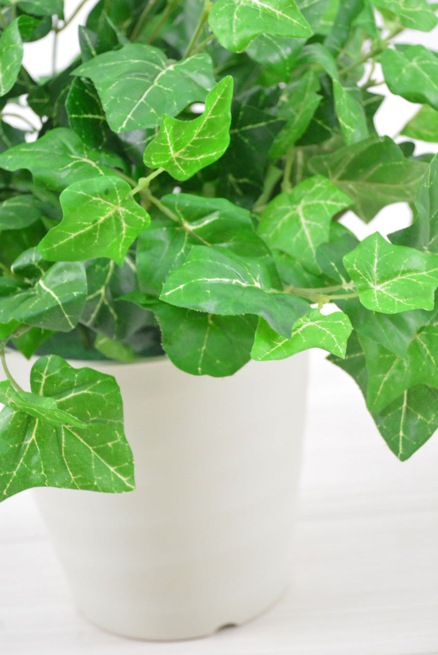 アイビー(1点物)