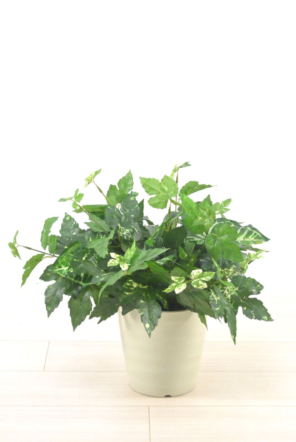 グリーンアレンジ(1点物)