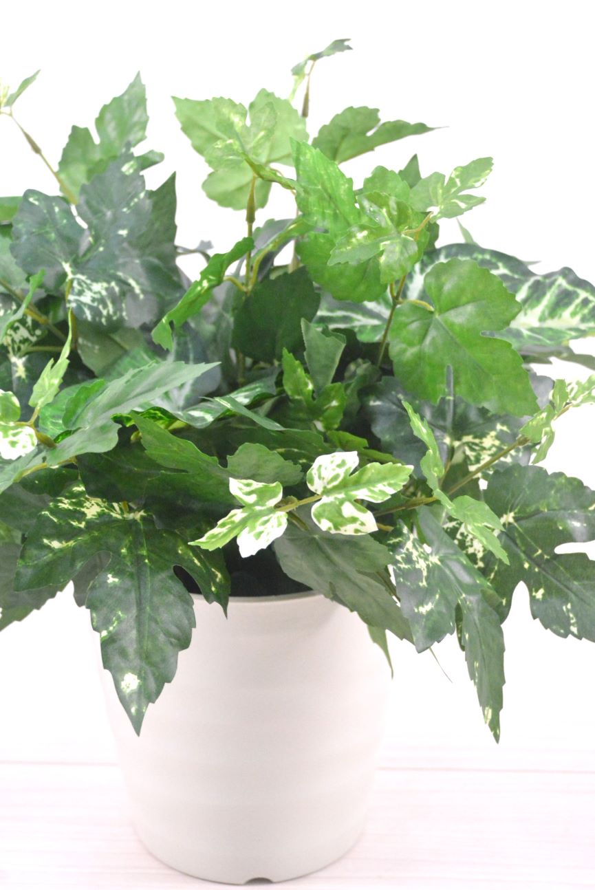 グリーンアレンジ(1点物)