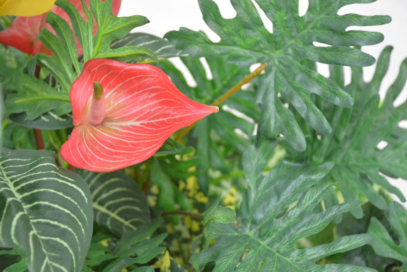 グリーンアレンジ(1点物)