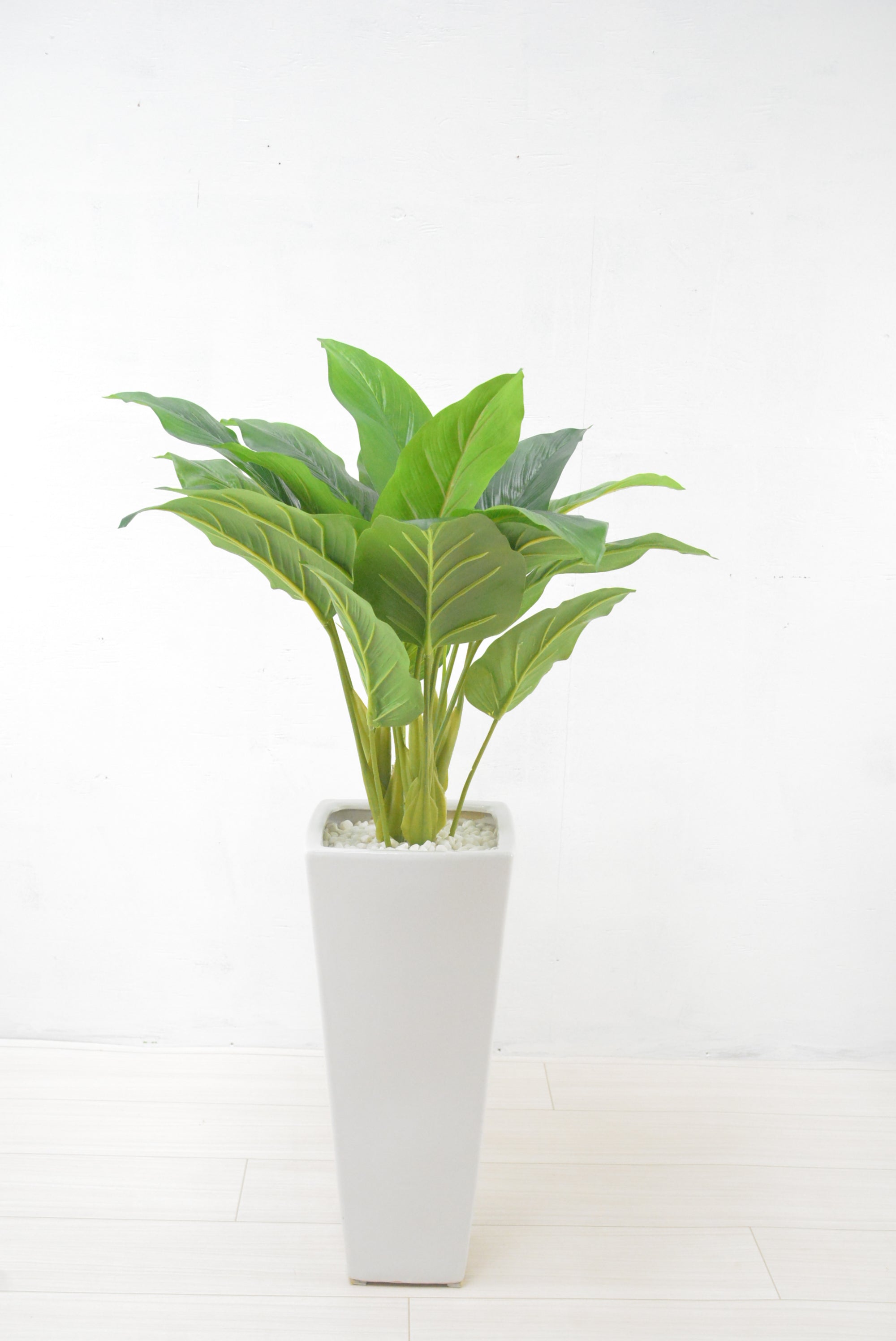 トラベラーズパーム(1点物)