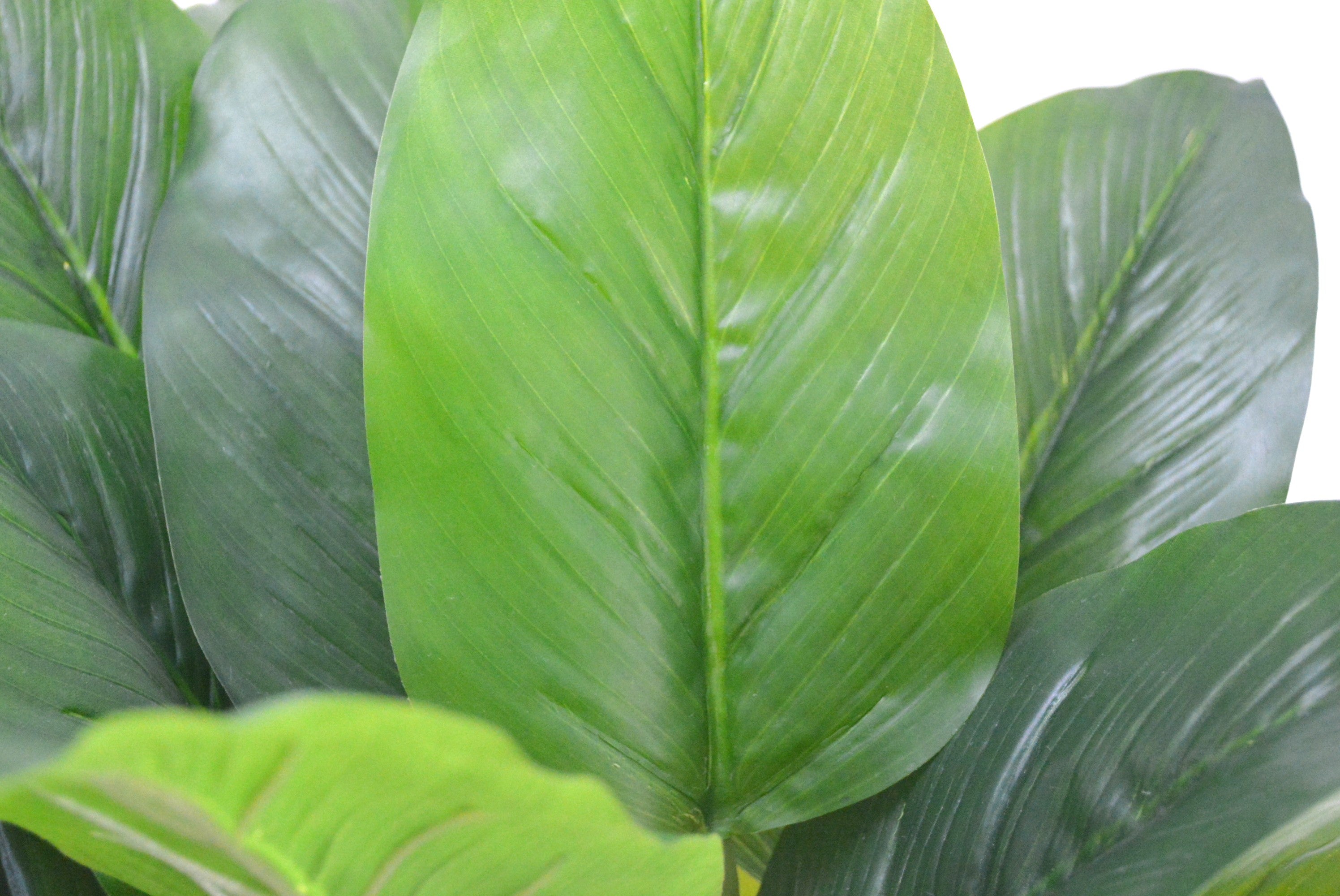 トラベラーズパーム(1点物)