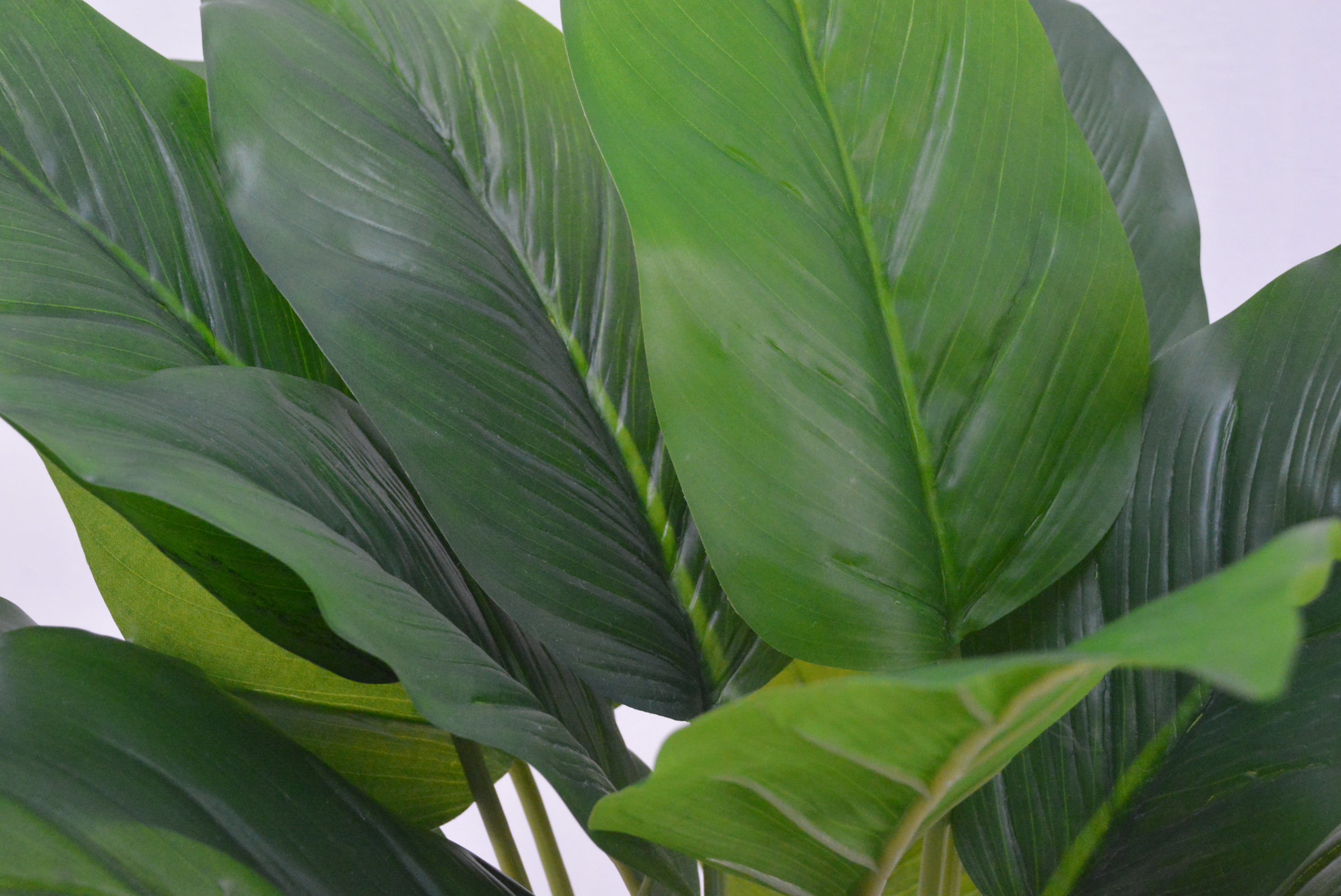 トラベラーズパーム(1点物)