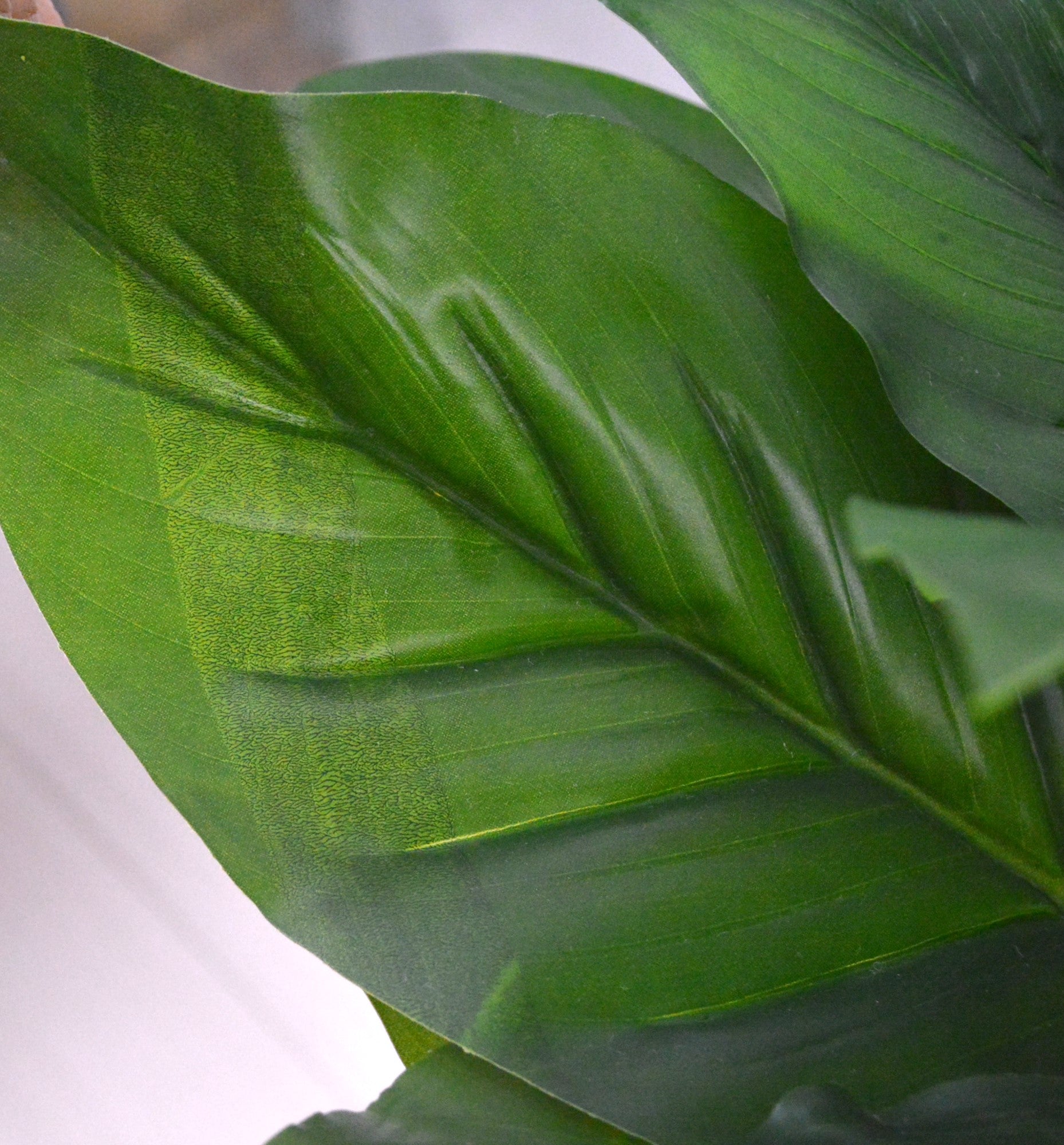 トラベラーズパーム(1点物)