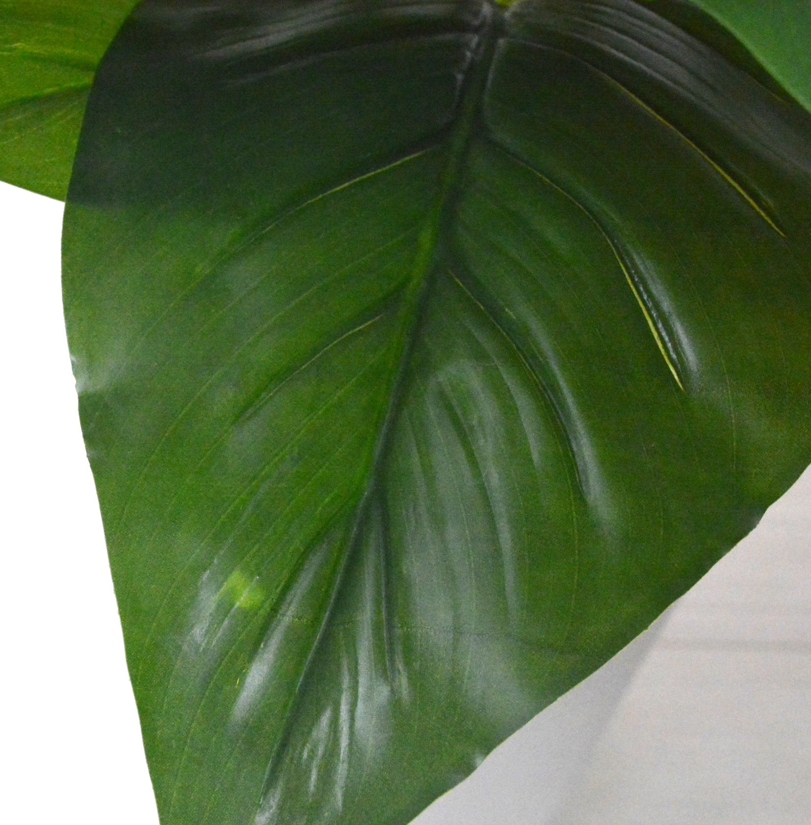 トラベラーズパーム(1点物)