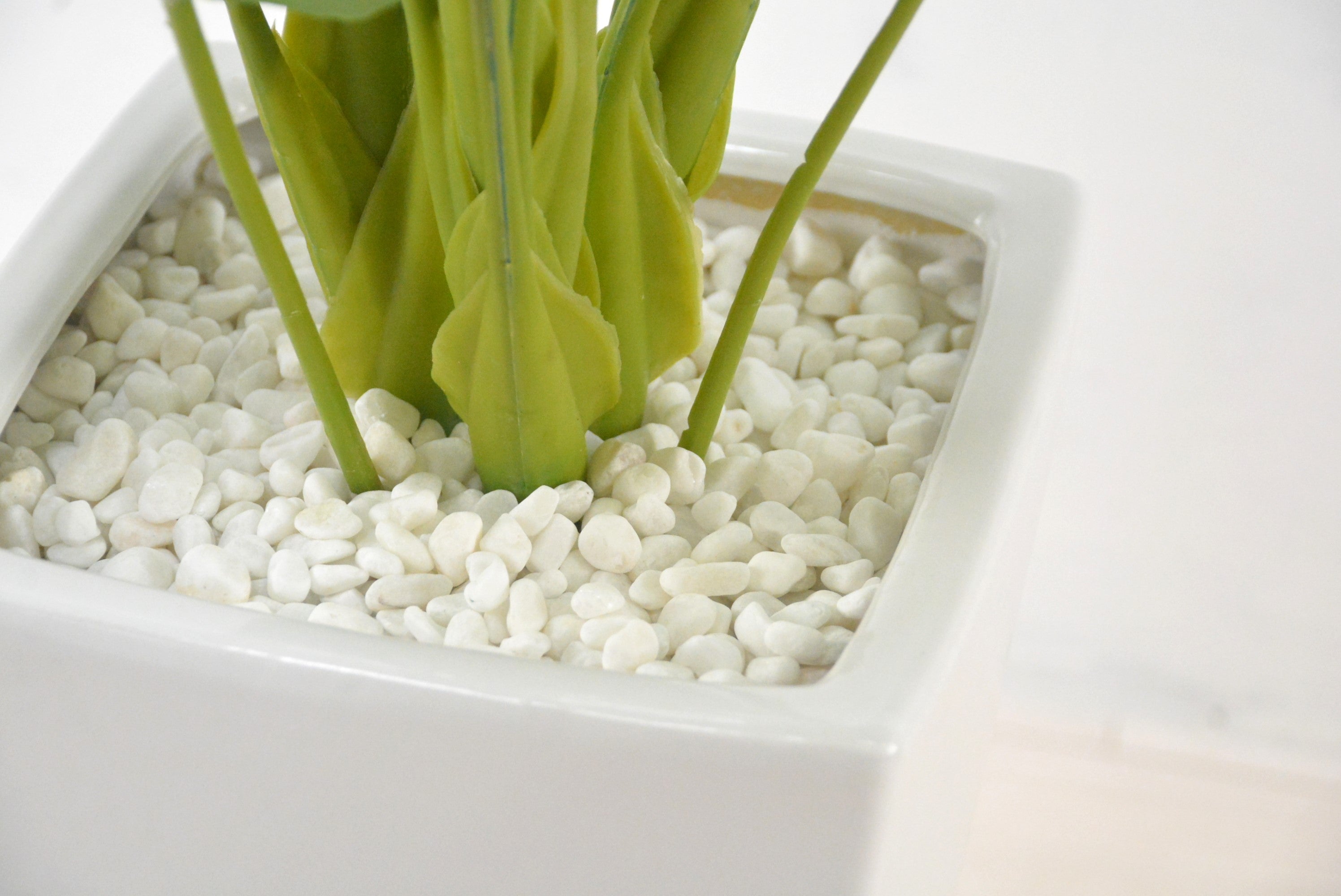 トラベラーズパーム(1点物)