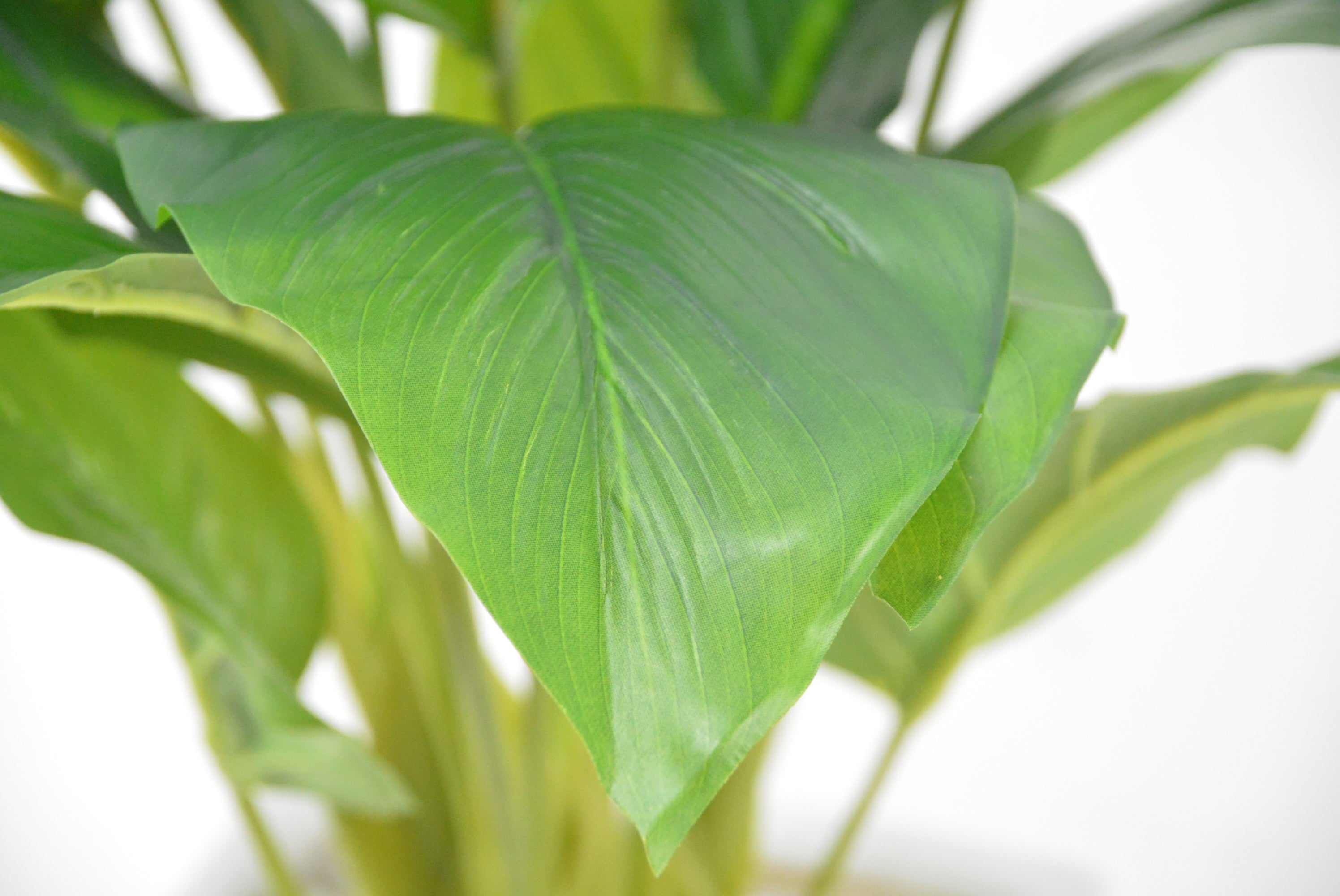 トラベラーズパーム(1点物)