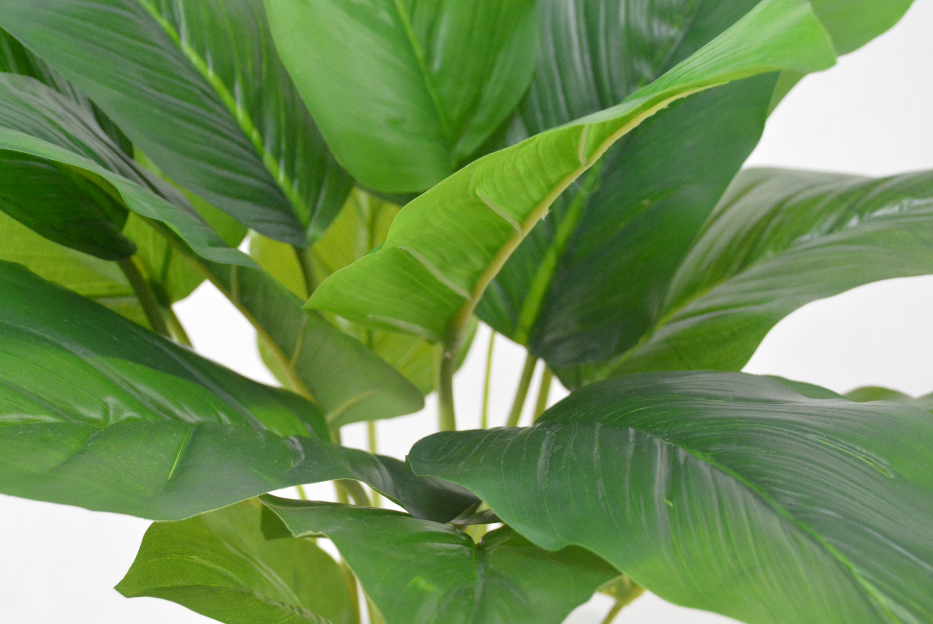 トラベラーズパーム(1点物)