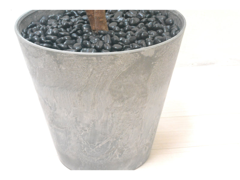 マウンテンアッシュ