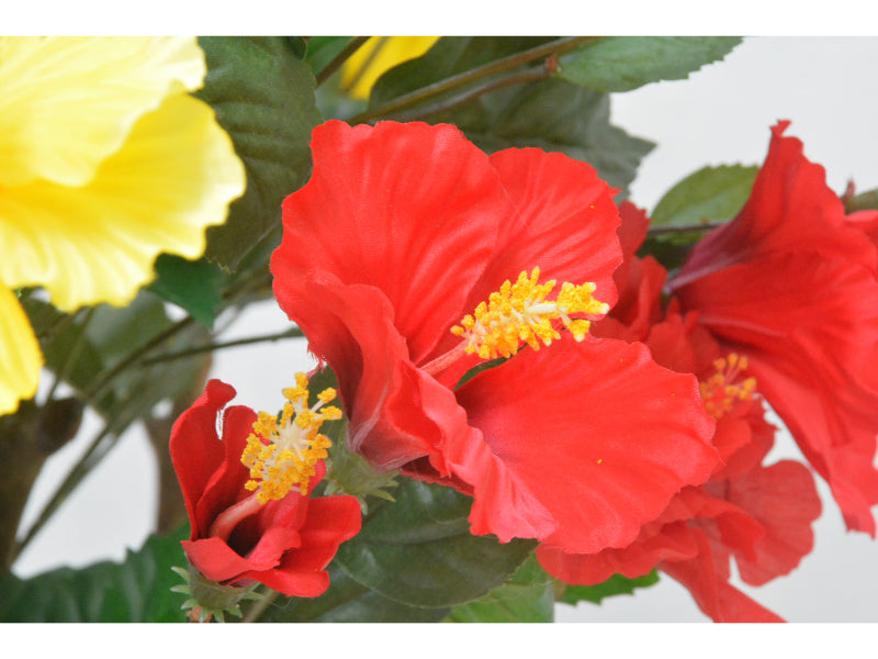 ハイビスカス(1点物)