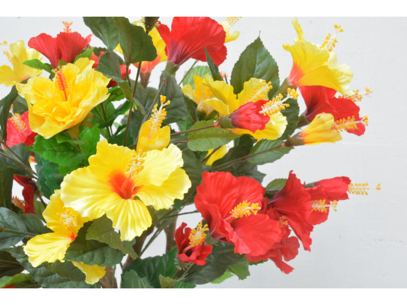 ハイビスカス(1点物)