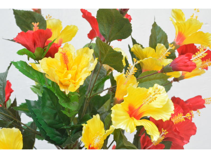 ハイビスカス(1点物)