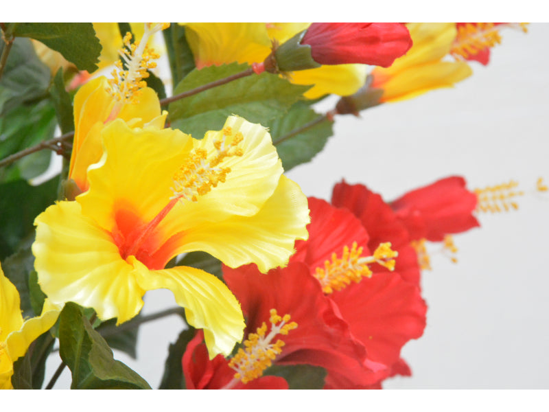 ハイビスカス(1点物)