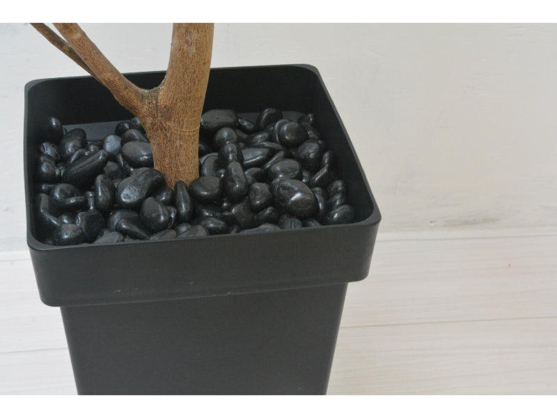 ハイビスカス(1点物)