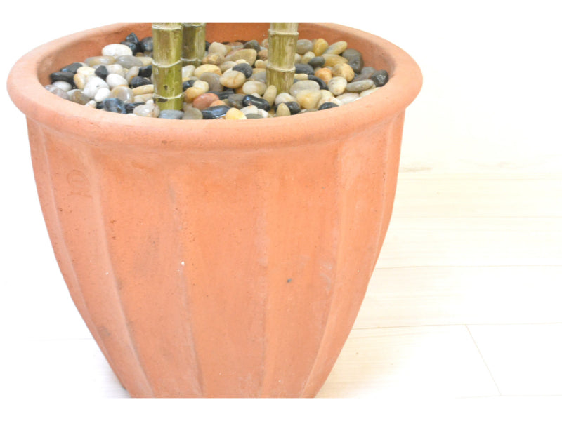 ドラセナ3本立て(1点物)